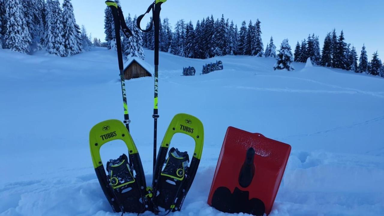 Ferienwohnung Elfi Tröpolach エクステリア 写真